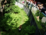 ŠVP Janov nad Nisou ZOO a lanové centrum