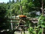 ŠVP Janov nad Nisou ZOO a lanové centrum