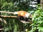 ŠVP Janov nad Nisou ZOO a lanové centrum