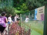 ŠVP Janov nad Nisou ZOO a lanové centrum