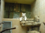 ŠVP Janov nad Nisou ZOO a lanové centrum