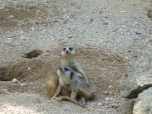 ŠVP Janov nad Nisou ZOO a lanové centrum