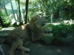 ŠVP Janov nad Nisou ZOO a lanové centrum