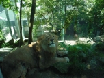 ŠVP Janov nad Nisou ZOO a lanové centrum