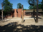 ŠVP Janov nad Nisou ZOO a lanové centrum