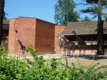 ŠVP Janov nad Nisou ZOO a lanové centrum