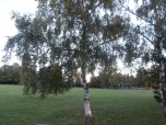 Prvouka