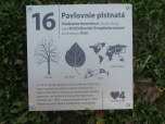 Prvouka