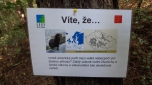 4A a 4B - přírodovědná akce 