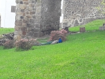 Děčín