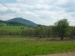 švp- směs fotek