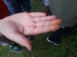 Prvouka 