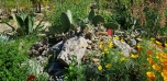 Botanická zahrada