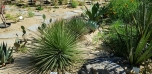 Botanická zahrada