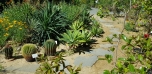 Botanická zahrada
