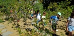 Botanická zahrada