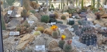 Botanická zahrada