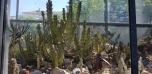 Botanická zahrada
