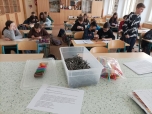 Fyzika a čtení s porozuměním 