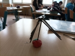 Fyzika a čtení s porozuměním 
