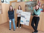 Rozvodná elektrická síť - skupinový projekt