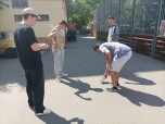 Světelné jevy 