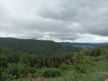 ŠVP Mariánská - DEN první 