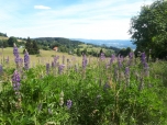 ŠVP Mariánská - DEN druhý 