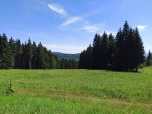 ŠVP Mariánská - DEN druhý 