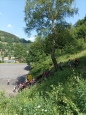 ŠVP Mariánská - DEN čtvrtý 