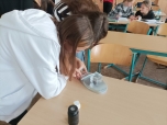 Kostičková fyzika - hustota látek 