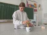 Newtonové pohybové zákony 
