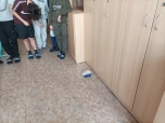 Newtonové pohybové zákony 