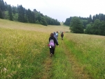 švp LETOHRAD 2