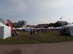 Festival vědy 8