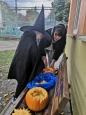Dýňobraní