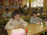 5. B prosinec - Pracovní činnosti