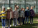 Sokolník - dravci duben 2024