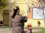 Sokolník - dravci duben 2024