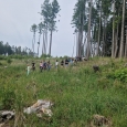 ŠVP Rohanov Šumava 