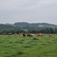 ŠVP Rohanov Šumava 