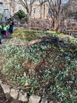 Botanická zahrada