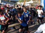 Krčská čtyřka 2026