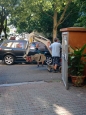Oprava teplovodního potrubí a kácení stromu 