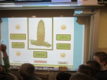 Na návštěvě ve 2. třídách  - hodina prvouky