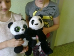 březen 2015  hodina prvouky s obratlovci