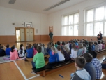 Šelmy
