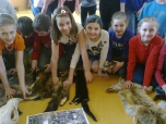 březen 2015 beseda o šelmách
