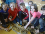 březen 2015 beseda o šelmách