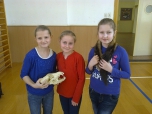 březen 2015 beseda o šelmách